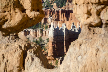 landscape on the bryce canyon in the united states of america
