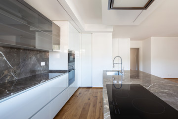 Interior of modern luxury apartment, empty attic. New and wide kitchen