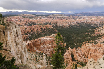 landscape on the bryce canyon in the united states of america