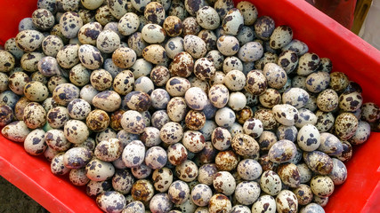 Quail eggs High Protein foods .
