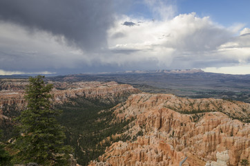 landscape on the bryce canyon in the united states of america