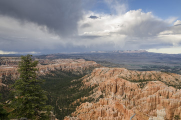 landscape on the bryce canyon in the united states of america