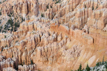 landscape on the bryce canyon in the united states of america
