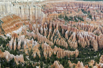 landscape on the bryce canyon in the united states of america