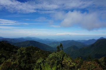 Cameron Highlands Malaysia