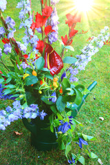 gießkanne blumen   blumen gießen