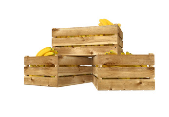3D render of wooden box. Full of bananas fruit. Isolated on white background.