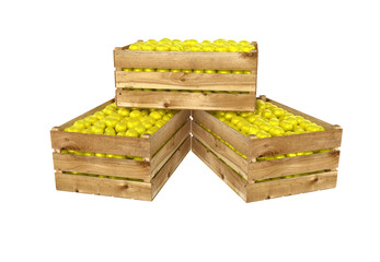 3D render of wooden box. Full of lemon fruit. Isolated on white background.