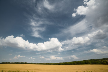 Obraz premium landscape of fields in Russia 
