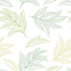 Bay leaf graphic green color seamless pattern background sketch illustration vector