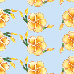 pattern flowers  yellow. Seamless pattern. Watercolor hand drawing, wild flower for background, texture, wrapper pattern, frame or border.