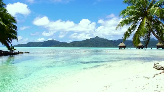 travel, seascape and nature concept - tropical beach with palm trees and bungalows in french polynesia
