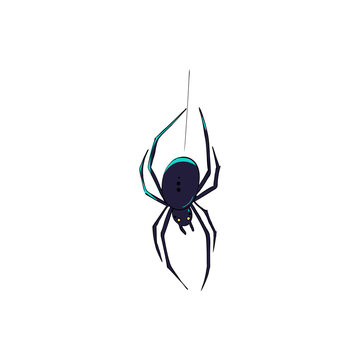Spider is a symbol of phobias and horrors. Design for Halloween.