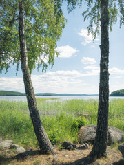 Obraz premium A day in the summer