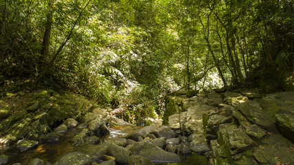 Mountain river with lakes in the national park of Vietnam Bachma.