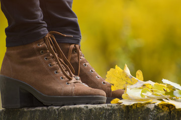 Brown female shoes on a stump, yellow foliage. Autumn concept