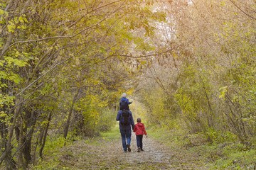 Fototapeta premium Father and two sons walk through the autumn park. Back view