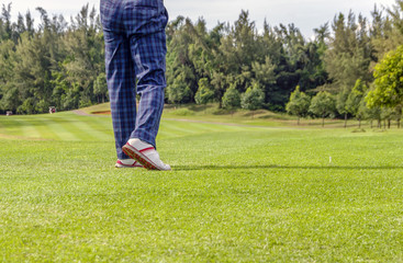 Fototapeta na wymiar Golfer Playing
