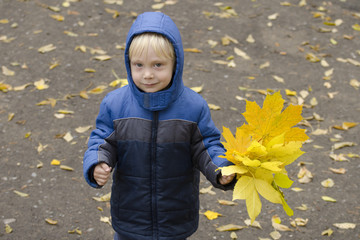 Blond boy with yellow leaves in hand. Portrait