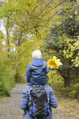 Father with his son on his shoulders walking in the autumn forest. Back view