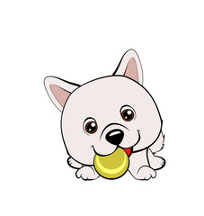 Vector cartoon style drawing of a playful puppy playing with a tennis ball.Australian shepherd cartoon. Eskimo Dog or Spitz.