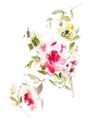 Flowers watercolor illustration