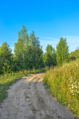 Fototapeta na wymiar Vanishing dirt road against blue sky backgound. Bulatovo, Kaluzhsky region, Russia.