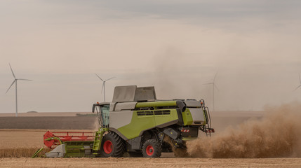 Fototapeta premium Combine agriculture harvest farming