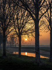 Sunrise through the trees