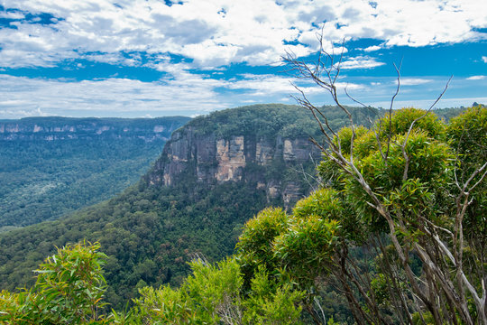 Jamison Valley In Blue Mountains In Australia