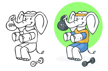 elephant athlete doing gymnastics