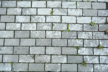 Stone pavement with grass texture. Top view on cobblestone street