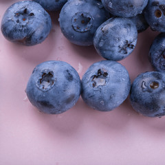 Obraz premium blueberry large ripe fresh