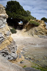 The path along the seashore