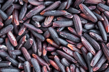raw organic Thailand riceberry rice texture background