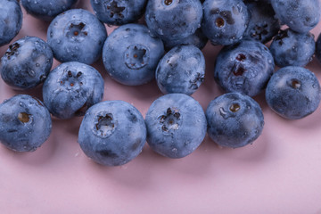 blueberry large ripe fresh