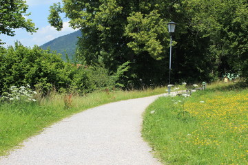 caminho