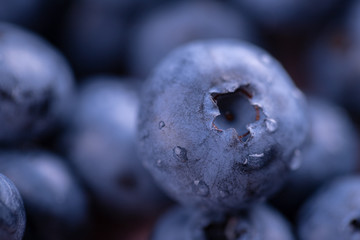 blueberry large ripe fresh