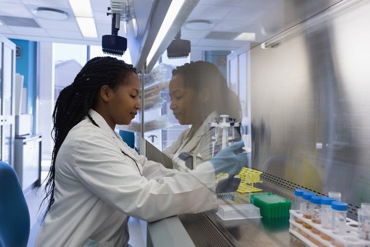 Scientist Doing Experiment In Lab