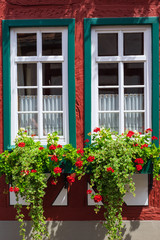 Zwei Fenster mit Blumenschmuck