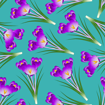 Purple Crocus Flower on Green Teal Background