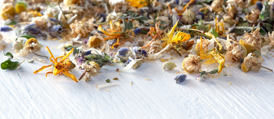 Header or banner for homeopathy/natural pharmacy: mix from dried herbs and blooms on white wooden...