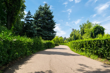 Empty park alley surrounded by green vegetation and nice clear blue sky at Olimpia park in Ploiesti, Romania.