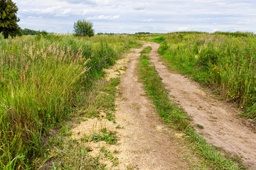 Fototapeta na wymiar Vanishing dirt road through meadow 