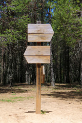 Informative post with wooden signs in the shape of an arrow pointing to the right and left with a forest in the background