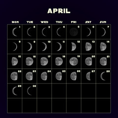 Moon phases calendar for 2019 with realistic moon. April. Vector.