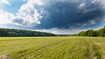 Summer meadow with dark clouds and forest