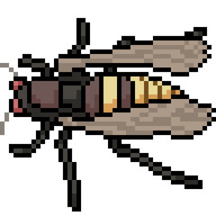 vector pixel art insect moth