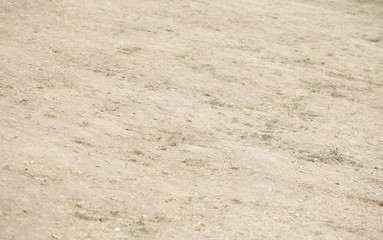 Vertrocknete Braune Rasenfläche, Dürre