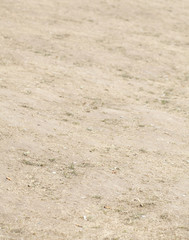 Vertrocknete Braune Rasenfläche, Dürre